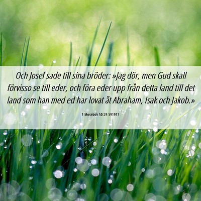Picture 06 - 1 Mosebok 50:24 SV1917 - Och Josef sade till sina bröder: »Jag dör, men - Bible Verse Picture