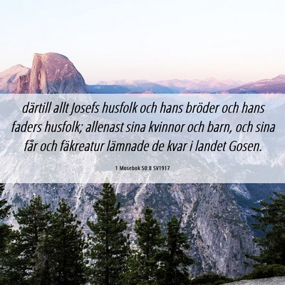 Picture 06 - 1 Mosebok 50:8 SV1917 - därtill allt Josefs husfolk och hans bröder och - Bible Verse Picture