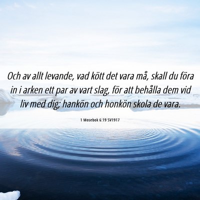 Picture 06 - 1 Mosebok 6:19 SV1917 - Och av allt levande, vad kött det vara må, - Bible Verse Picture