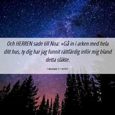 Picture 06 - 1 Mosebok 7:1 SV1917 - Och HERREN sade till Noa: »Gå in i arken med - Bible Verse Picture