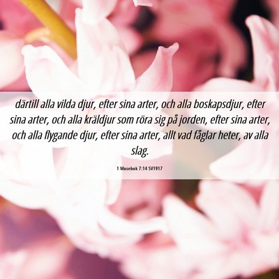 Picture 06 - 1 Mosebok 7:14 SV1917 - därtill alla vilda djur, efter sina arter, och - Bible Verse Picture