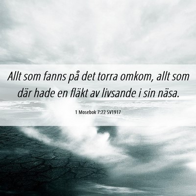 Picture 06 - 1 Mosebok 7:22 SV1917 - Allt som fanns på det torra omkom, allt som där - Bible Verse Picture