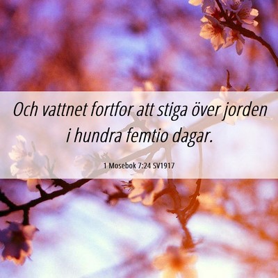 Picture 06 - 1 Mosebok 7:24 SV1917 - Och vattnet fortfor att stiga över jorden i - Bible Verse Picture