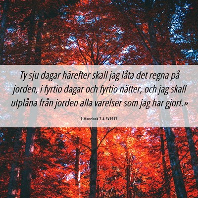 Picture 06 - 1 Mosebok 7:4 SV1917 - Ty sju dagar härefter skall jag låta det regna - Bible Verse Picture