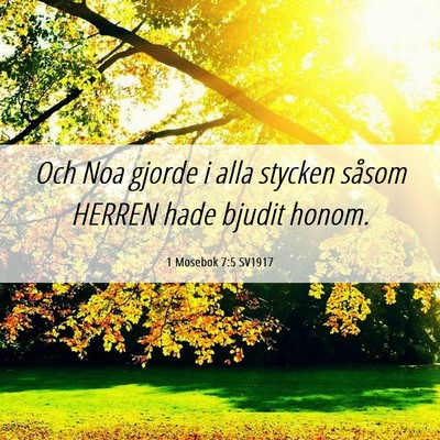 Picture 06 - 1 Mosebok 7:5 SV1917 - Och Noa gjorde i alla stycken såsom HERREN hade - Bible Verse Picture