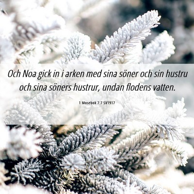 Picture 06 - 1 Mosebok 7:7 SV1917 - Och Noa gick in i arken med sina söner och sin - Bible Verse Picture