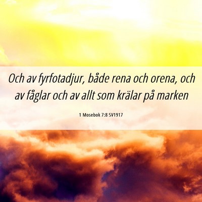 Picture 06 - 1 Mosebok 7:8 SV1917 - Och av fyrfotadjur, både rena och orena, och av - Bible Verse Picture