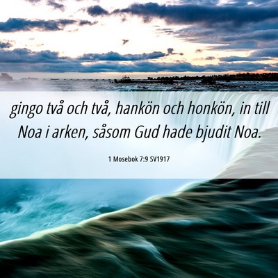 Picture 06 - 1 Mosebok 7:9 SV1917 - gingo två och två, hankön och honkön, in till - Bible Verse Picture