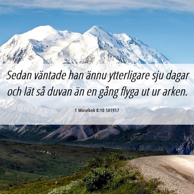 Picture 06 - 1 Mosebok 8:10 SV1917 - Sedan väntade han ännu ytterligare sju dagar - Bible Verse Picture