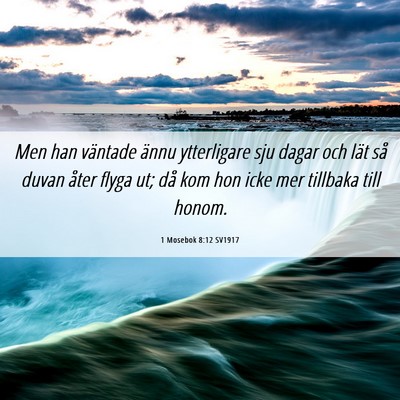 Picture 06 - 1 Mosebok 8:12 SV1917 - Men han väntade ännu ytterligare sju dagar och - Bible Verse Picture