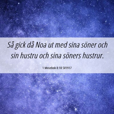 Picture 06 - 1 Mosebok 8:18 SV1917 - Så gick då Noa ut med sina söner och sin - Bible Verse Picture