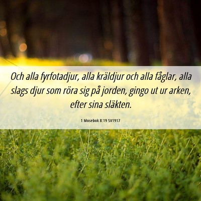 Picture 06 - 1 Mosebok 8:19 SV1917 - Och alla fyrfotadjur, alla kräldjur och alla - Bible Verse Picture