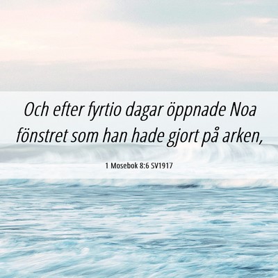Picture 06 - 1 Mosebok 8:6 SV1917 - Och efter fyrtio dagar öppnade Noa fönstret som - Bible Verse Picture