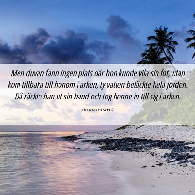 Picture 06 - 1 Mosebok 8:9 SV1917 - Men duvan fann ingen plats där hon kunde vila - Bible Verse Picture