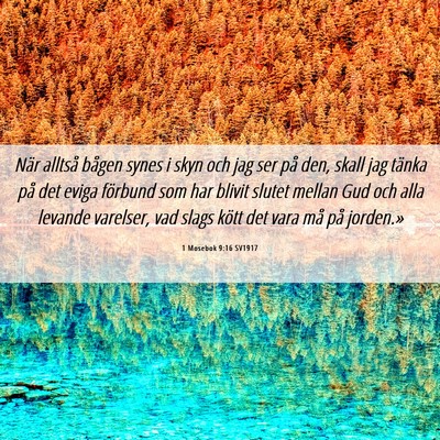 Picture 06 - 1 Mosebok 9:16 SV1917 - När alltså bågen synes i skyn och jag ser på - Bible Verse Picture