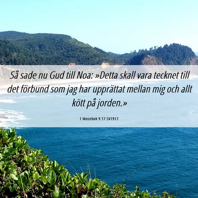 Picture 06 - 1 Mosebok 9:17 SV1917 - Så sade nu Gud till Noa: »Detta skall vara - Bible Verse Picture