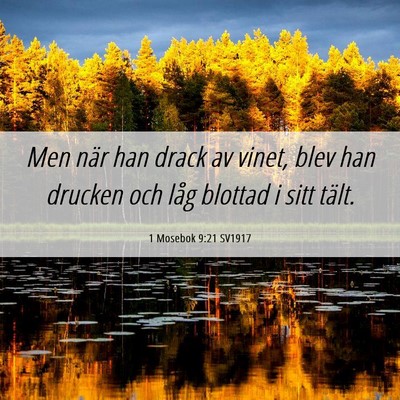 Picture 06 - 1 Mosebok 9:21 SV1917 - Men när han drack av vinet, blev han drucken och - Bible Verse Picture