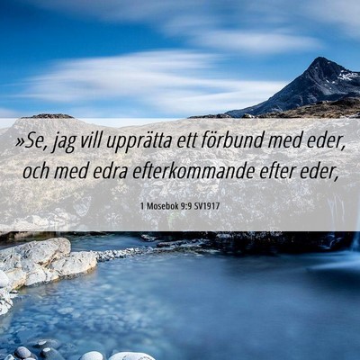 Picture 06 - 1 Mosebok 9:9 SV1917 - »Se, jag vill upprätta ett förbund med eder, - Bible Verse Picture