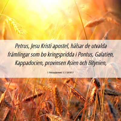 Picture 06 - 1 Petrusbrevet 1:1 SV1917 - Petrus, Jesu Kristi apostel, hälsar de utvalda - Bible Verse Picture