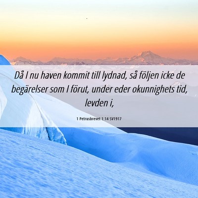 Picture 06 - 1 Petrusbrevet 1:14 SV1917 - Då I nu haven kommit till lydnad, så följen - Bible Verse Picture