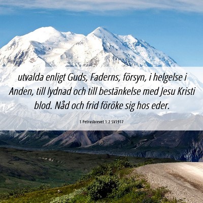 Picture 06 - 1 Petrusbrevet 1:2 SV1917 - utvalda enligt Guds, Faderns, försyn, i helgelse - Bible Verse Picture
