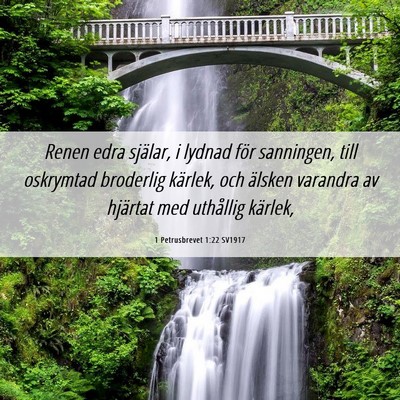 Picture 06 - 1 Petrusbrevet 1:22 SV1917 - Renen edra själar, i lydnad för sanningen, till - Bible Verse Picture