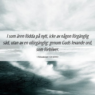 Picture 06 - 1 Petrusbrevet 1:23 SV1917 - I som ären födda på nytt, icke av någon - Bible Verse Picture