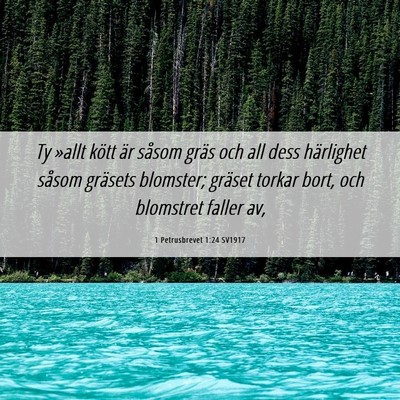 Picture 06 - 1 Petrusbrevet 1:24 SV1917 - Ty »allt kött är såsom gräs och all dess - Bible Verse Picture