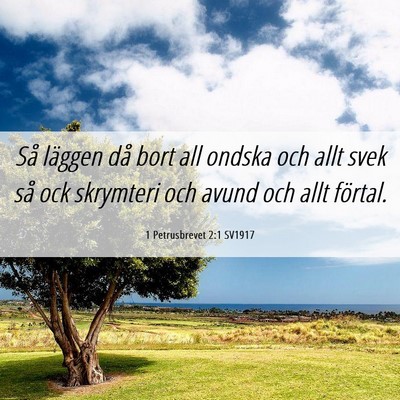 Picture 06 - 1 Petrusbrevet 2:1 SV1917 - Så läggen då bort all ondska och allt svek så - Bible Verse Picture