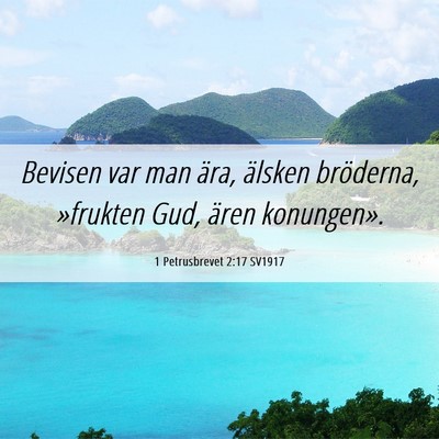 Picture 06 - 1 Petrusbrevet 2:17 SV1917 - Bevisen var man ära, älsken bröderna, - Bible Verse Picture