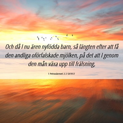 Picture 06 - 1 Petrusbrevet 2:2 SV1917 - Och då I nu ären nyfödda barn, så längten - Bible Verse Picture
