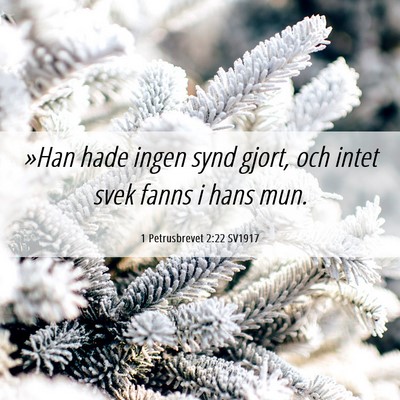 Picture 06 - 1 Petrusbrevet 2:22 SV1917 - »Han hade ingen synd gjort, och intet svek fanns - Bible Verse Picture