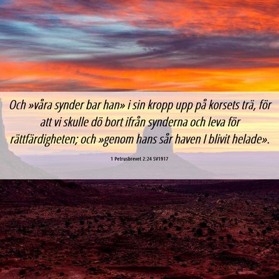 Picture 06 - 1 Petrusbrevet 2:24 SV1917 - Och »våra synder bar han» i sin kropp upp på - Bible Verse Picture