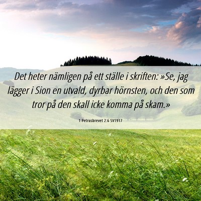 Picture 06 - 1 Petrusbrevet 2:6 SV1917 - Det heter nämligen på ett ställe i skriften: - Bible Verse Picture