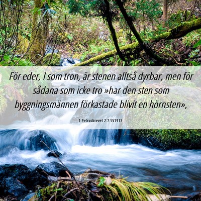 Picture 06 - 1 Petrusbrevet 2:7 SV1917 - För eder, I som tron, är stenen alltså dyrbar, - Bible Verse Picture
