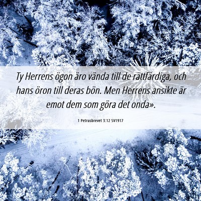 Picture 06 - 1 Petrusbrevet 3:12 SV1917 - Ty Herrens ögon äro vända till de - Bible Verse Picture