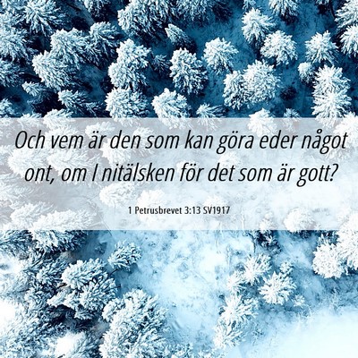 Picture 06 - 1 Petrusbrevet 3:13 SV1917 - Och vem är den som kan göra eder något ont, om - Bible Verse Picture