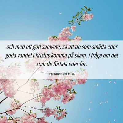 Picture 06 - 1 Petrusbrevet 3:16 SV1917 - och med ett gott samvete, så att de som smäda - Bible Verse Picture