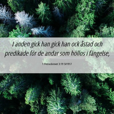 Picture 06 - 1 Petrusbrevet 3:19 SV1917 - I anden gick han gick han ock åstad och - Bible Verse Picture