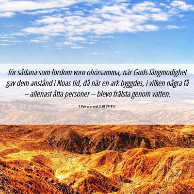 Picture 06 - 1 Petrusbrevet 3:20 SV1917 - för sådana som fordom voro ohörsamma, när - Bible Verse Picture