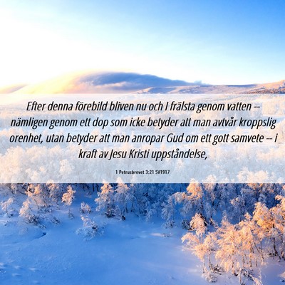 Picture 06 - 1 Petrusbrevet 3:21 SV1917 - Efter denna förebild bliven nu och I frälsta - Bible Verse Picture