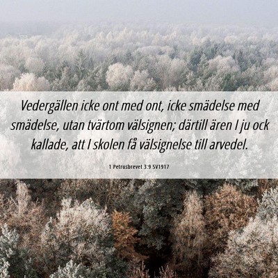 Picture 06 - 1 Petrusbrevet 3:9 SV1917 - Vedergällen icke ont med ont, icke smädelse med - Bible Verse Picture