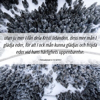 Picture 06 - 1 Petrusbrevet 4:13 SV1917 - utan ju mer I fån dela Kristi lidanden, dess mer - Bible Verse Picture