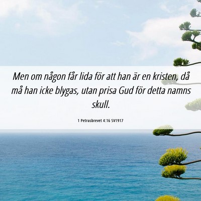 Picture 06 - 1 Petrusbrevet 4:16 SV1917 - Men om någon får lida för att han är en - Bible Verse Picture