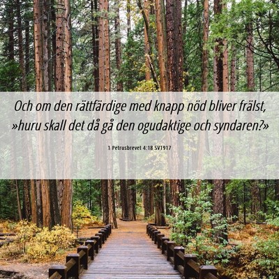Picture 06 - 1 Petrusbrevet 4:18 SV1917 - Och om den rättfärdige med knapp nöd bliver - Bible Verse Picture