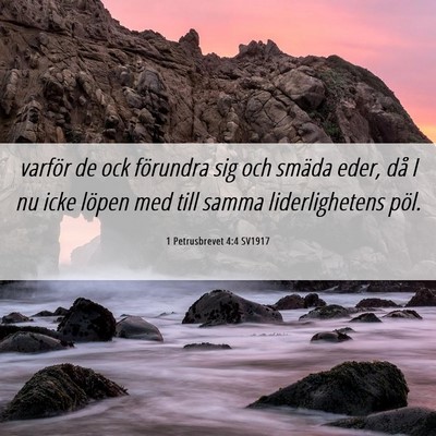 Picture 06 - 1 Petrusbrevet 4:4 SV1917 - varför de ock förundra sig och smäda eder, då - Bible Verse Picture