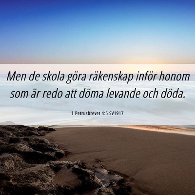 Picture 06 - 1 Petrusbrevet 4:5 SV1917 - Men de skola göra räkenskap inför honom som - Bible Verse Picture