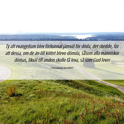 Picture 06 - 1 Petrusbrevet 4:6 SV1917 - Ty att evangelium blev förkunnat jämväl för - Bible Verse Picture