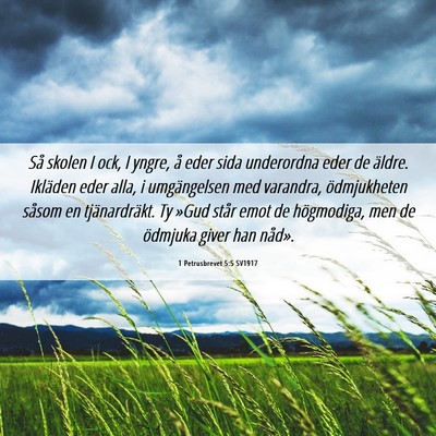 Picture 06 - 1 Petrusbrevet 5:5 SV1917 - Så skolen I ock, I yngre, å eder sida - Bible Verse Picture