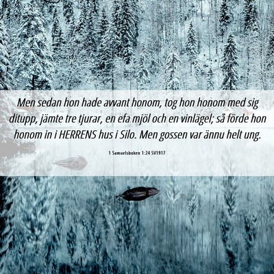 Picture 06 - 1 Samuelsboken 1:24 SV1917 - Men sedan hon hade avvant honom, tog hon honom - Bible Verse Picture